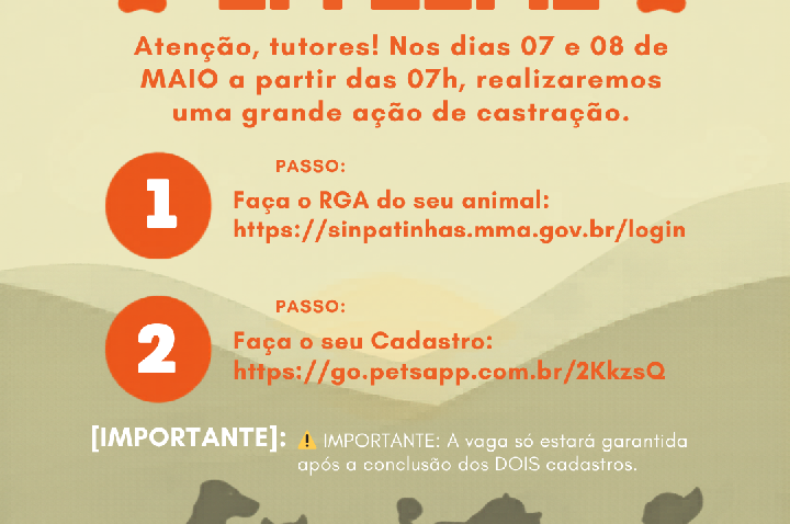 Mutirão de castração encerra ações do Abril Laranja em Leme