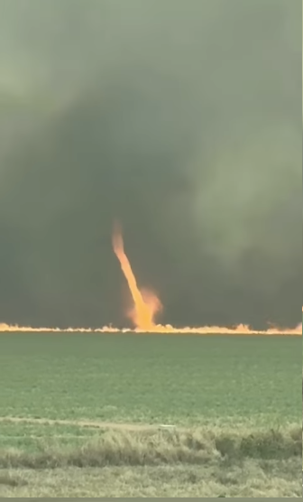 Incêndio de grandes proporções atinge área da AFA em Pirassununga