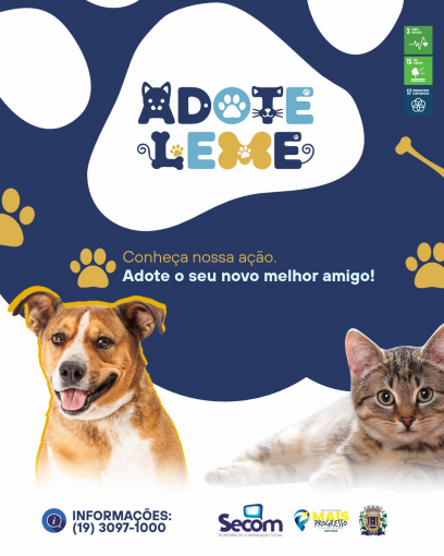Prefeitura lança o programa Adote Leme e cria canal para estimular a adoção de animais