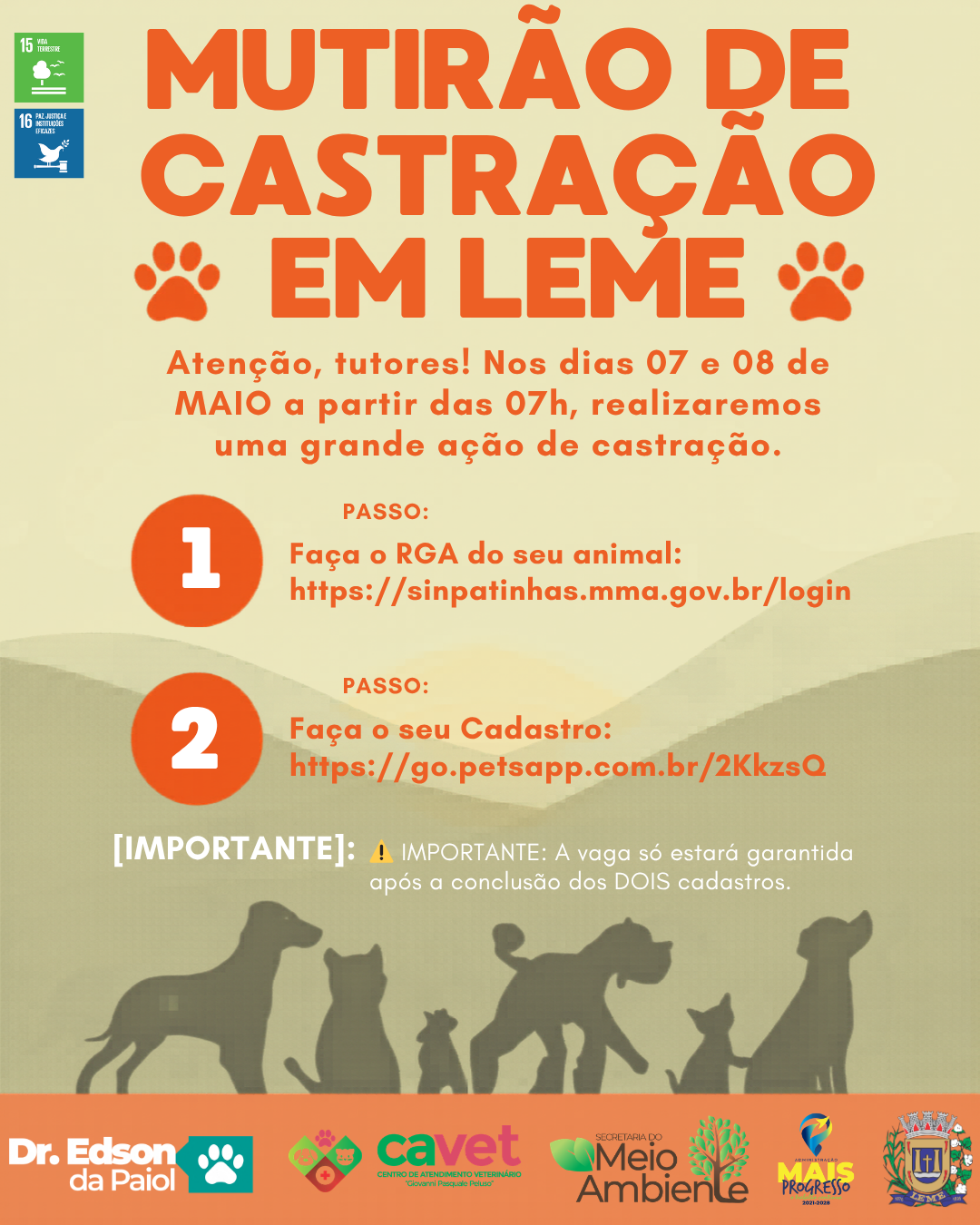 Mutirão de castração encerra ações do Abril Laranja em Leme